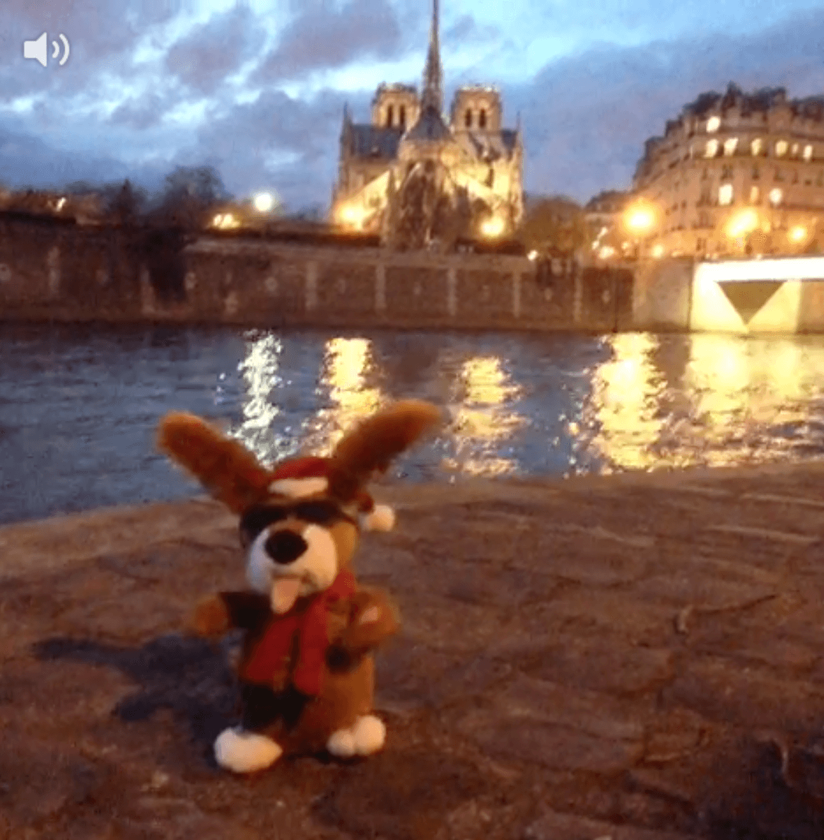 Le dernier #vineinparis du dimanche pour 2013 !