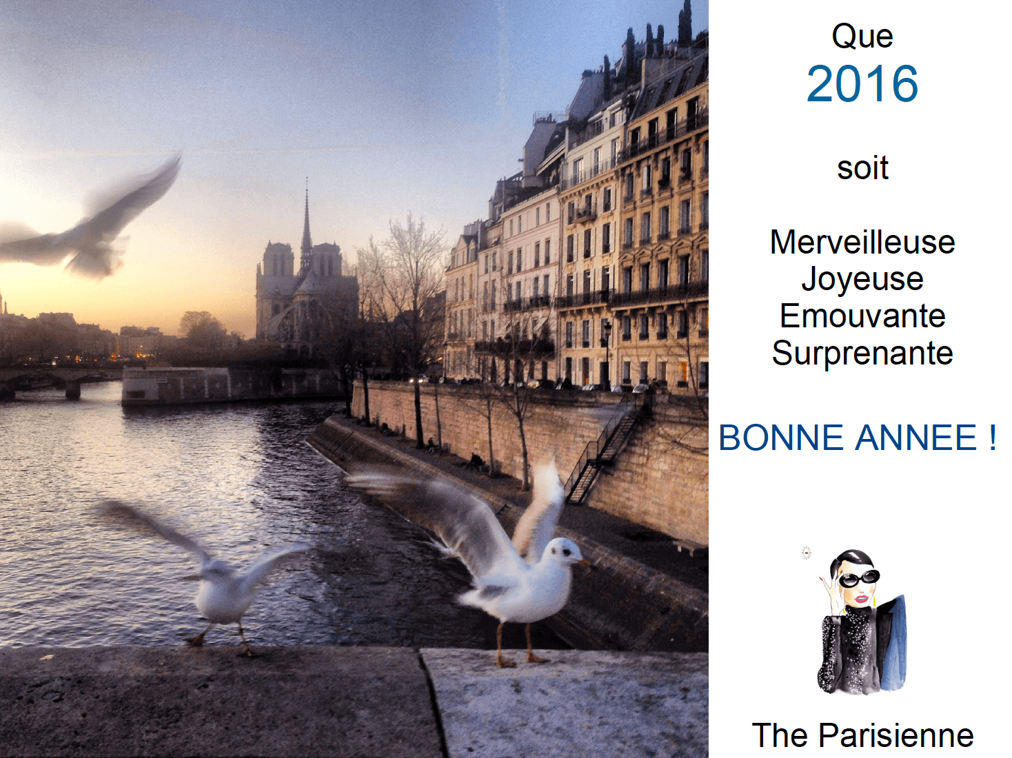 Bonne année 2016 !