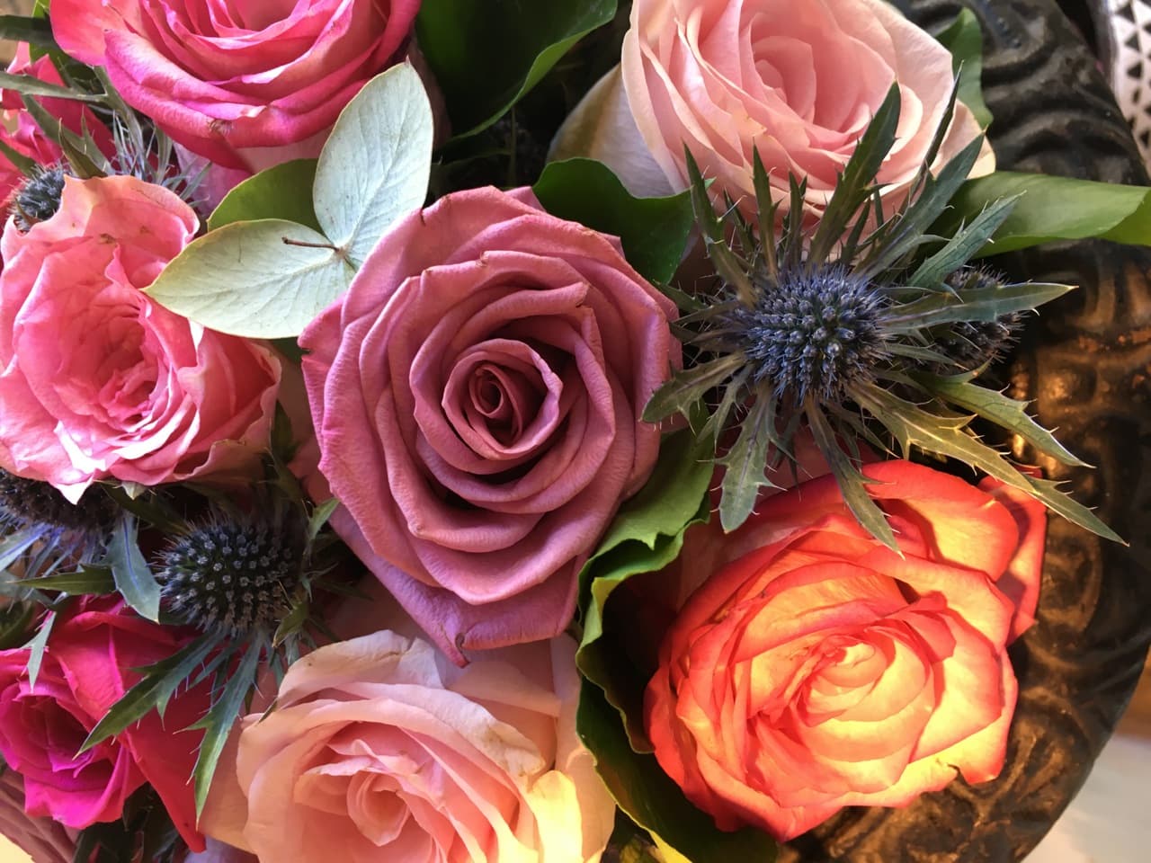 Au nom de la rose - hommage à une fleur