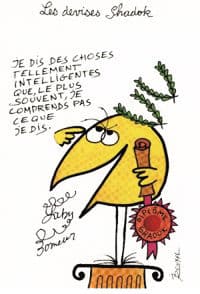 Balade chez les Shadoks ...