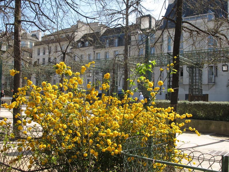 quelques photos du jour de Paris enfin sous le soleil !