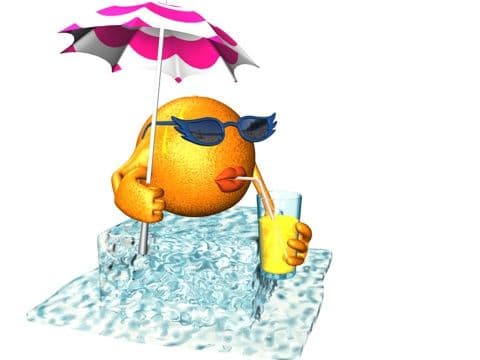Blog en mode estival ....