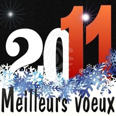 une merveilleuse année 2011 à tous !