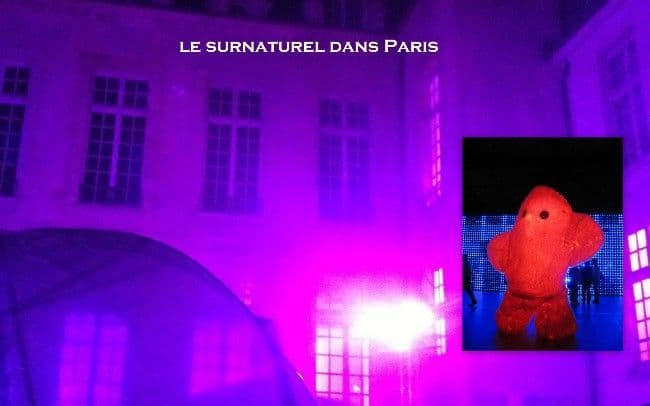 la Photo du Mois