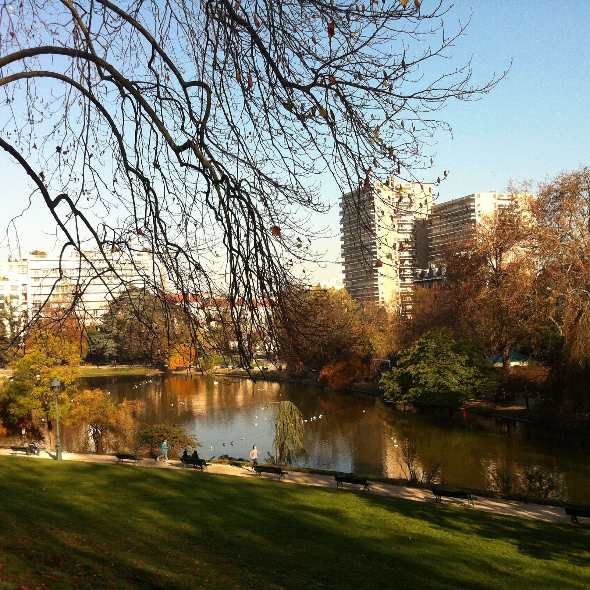 Le #vineinparis du dimanche