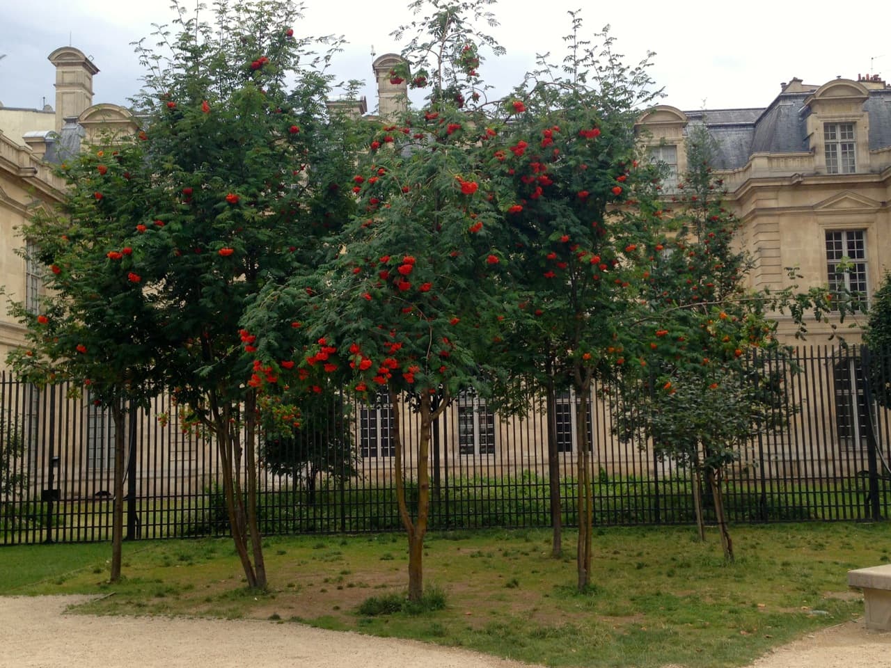 Le #vineinparis du dimanche : jardin Anne Franck
