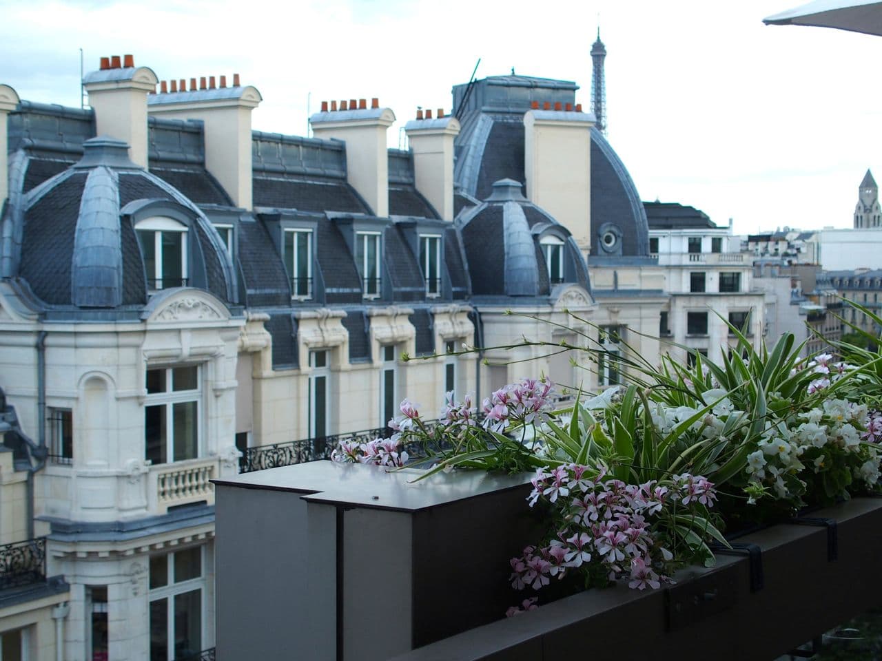 La terrasse du Warwick Champs-Elysées