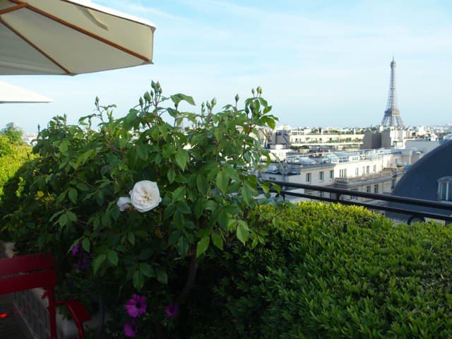 weekend du 28 mai - quelques bons plans !