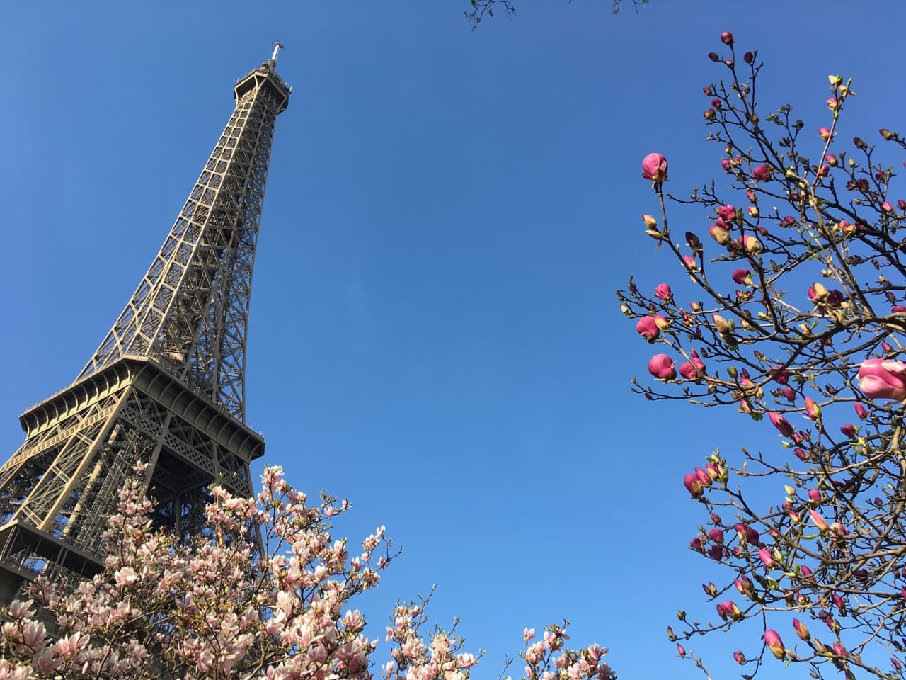 Paris ce weekend : deux anniversaires en un !