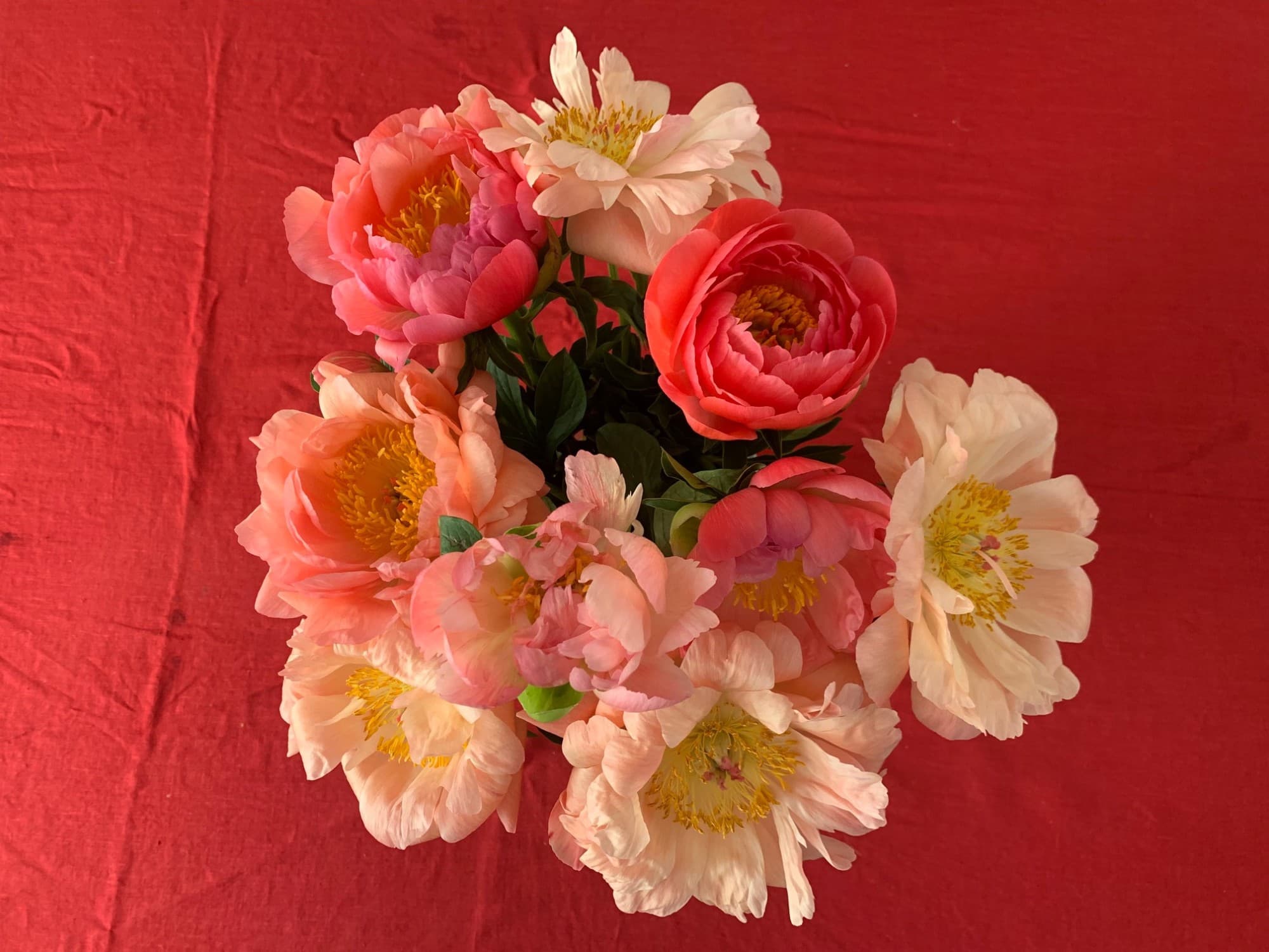 Jour 30 - offrez vous des fleurs