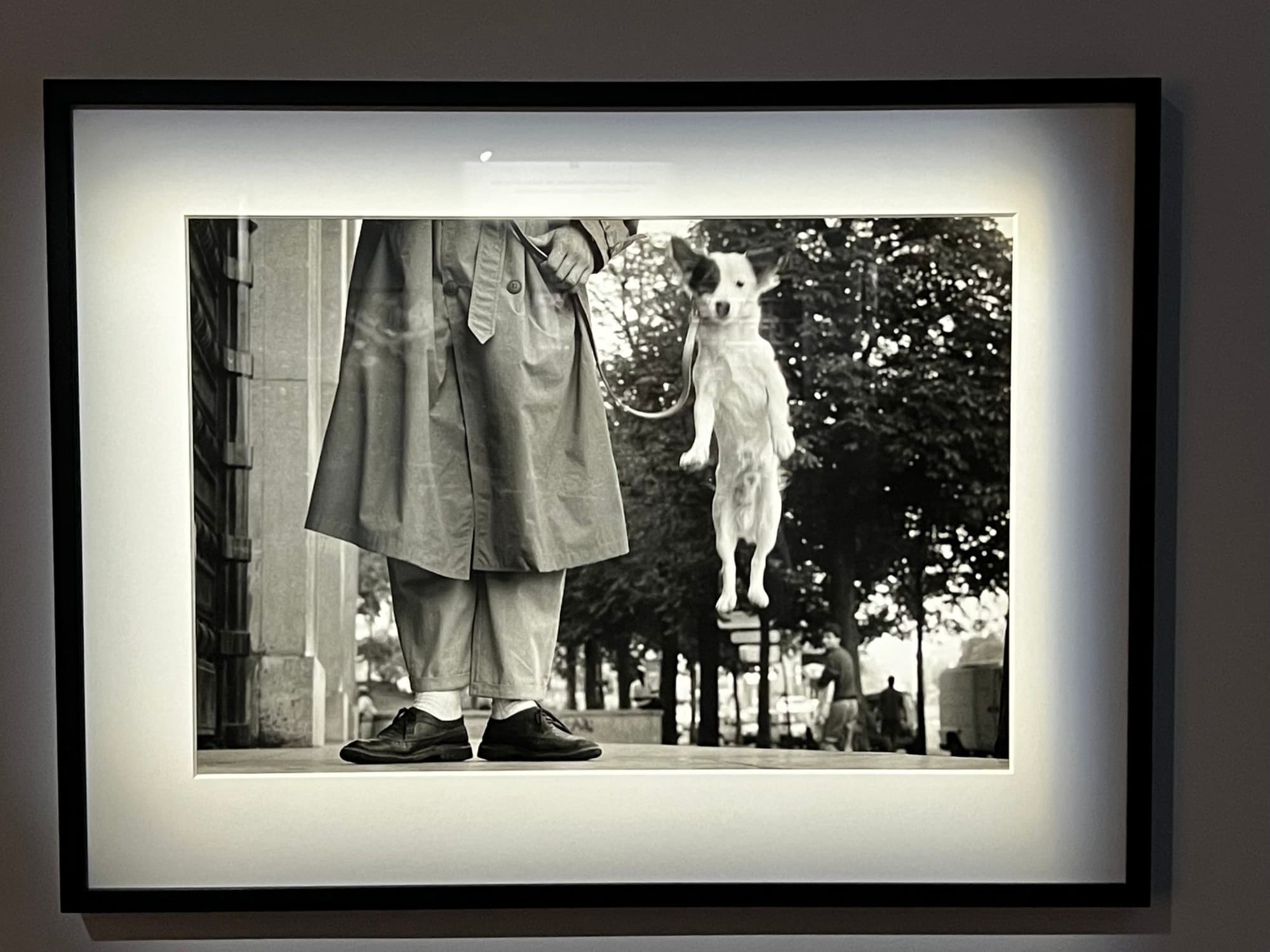 Elliot Erwitt. Retrospective