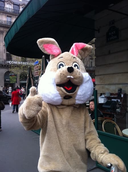 Chasser les lapins à Paris ... Et partir à New York !