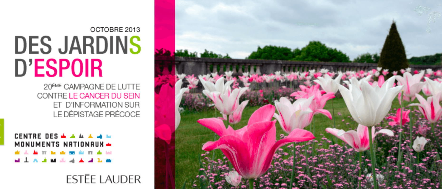 Octobre rose 2013