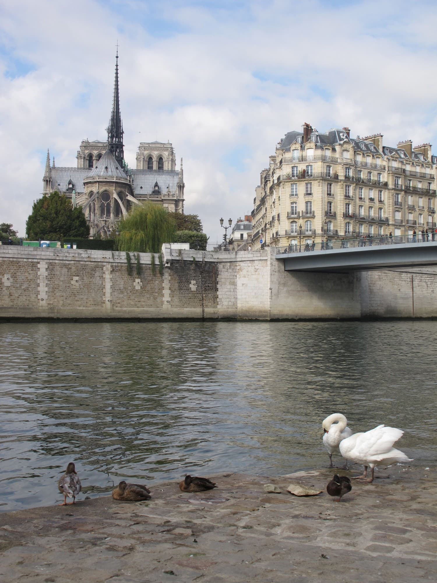 Le #vineinparis du dimanche - en direct de la Seine