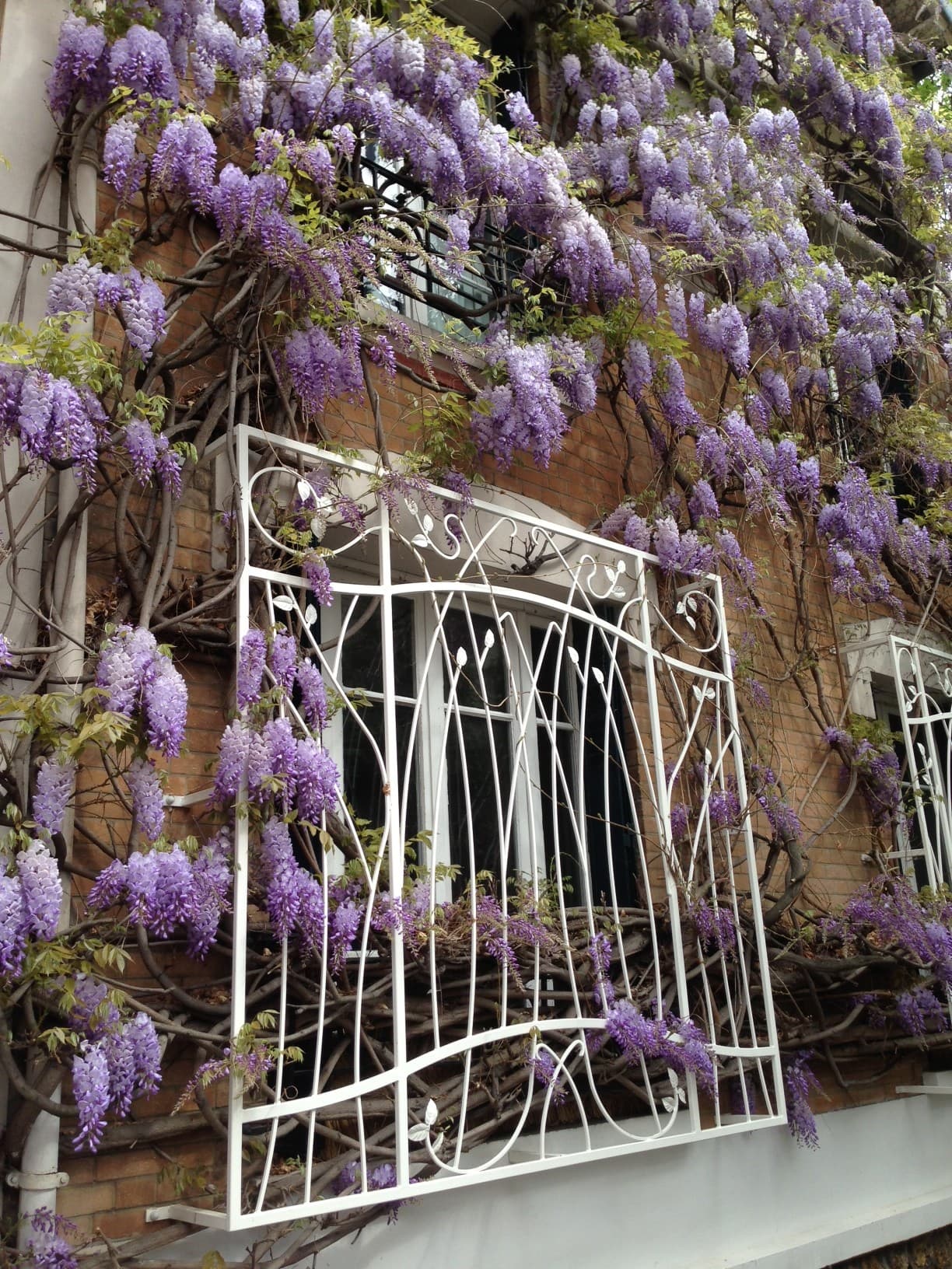 Le #vineinparis du dimanche