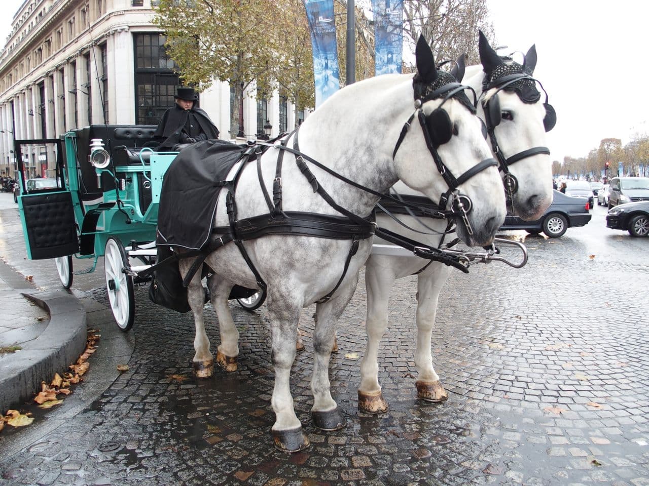 Le #vineinparis : #tiffanychristmas
