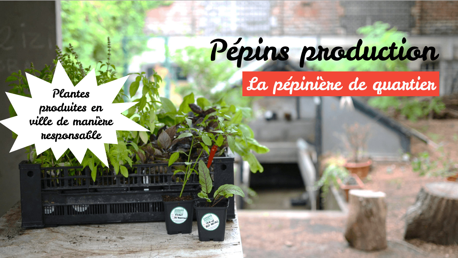 Pépins production - et que la nature envahisse Paris
