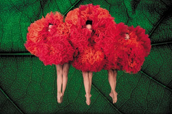 MOMIX au théâtre des Champs Elysées